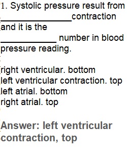 Unnamed Quiz